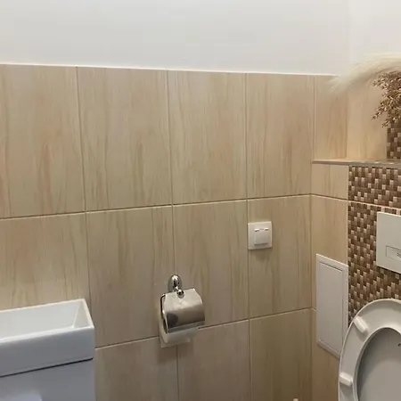 Luxe Central Living Apartment Debrecen